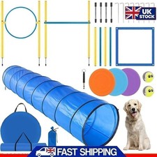 Dog Agility Equipment Set Pet