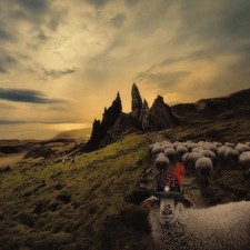 FRANCK CARDUCCI  - Sheeple