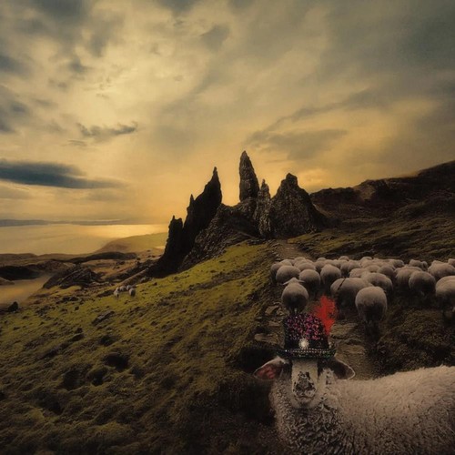 Franck carducci sheeple - carducci,