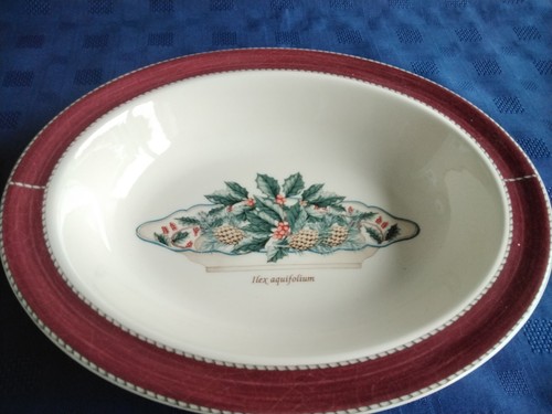 Wedgwood sarah garden - wedgwood, ilex