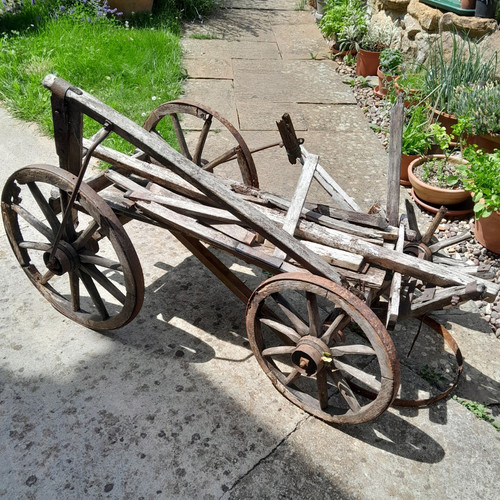 Dog cart possible template - dog,