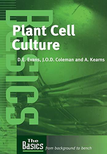 Plant cell culture - cell,
