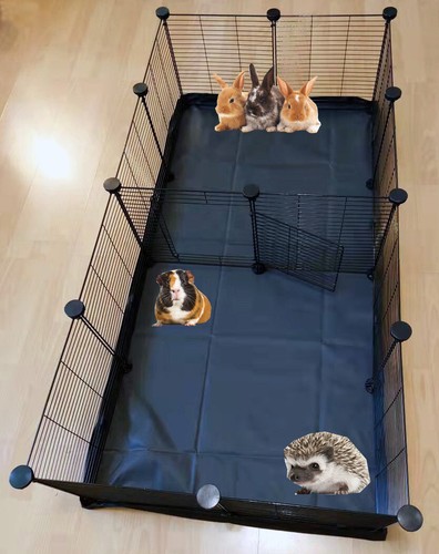 Large guinea pig enclosure - guinea,