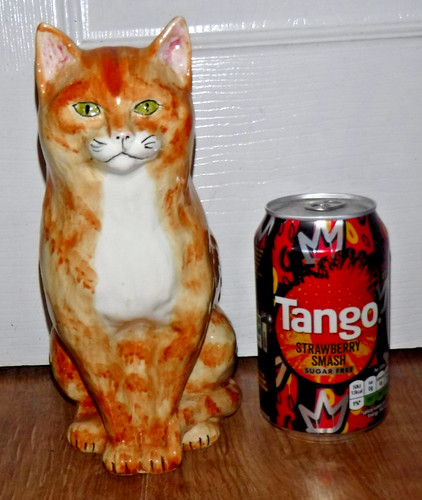 Large babbacombe toni raymond - large,