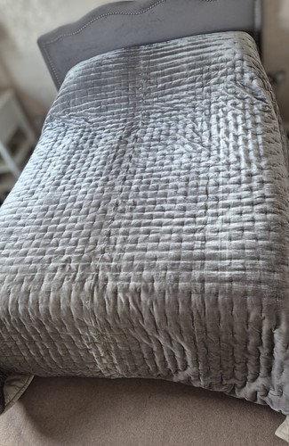Silver grey lustre velvet