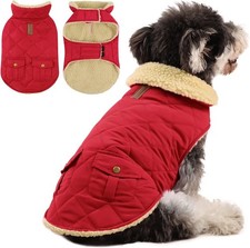 Queenmore Whippet Coat Dog
