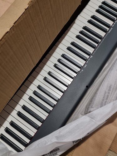Casio cdps100 digital piano - casio,