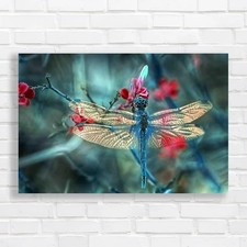 Stunning Dragonfly Detailed
