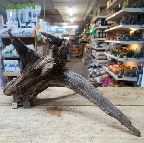 Large corbo root aquarium - large,