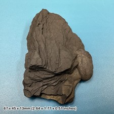 Shale, Ordovician, Cumbria, UK