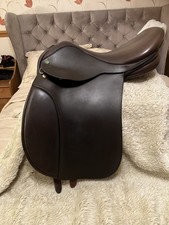 16inch Ideal Working Hunter