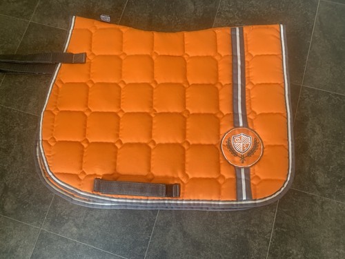 Equestrian coldstream - equestrian,