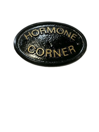 Hormone corner house door - hormone,