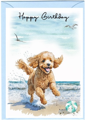 Poodle apricot dog birthday - dog,