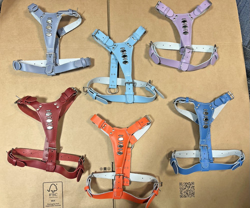 Leather dog harness - harness, with