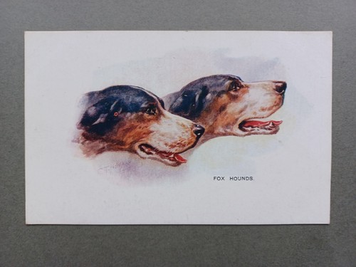 1930s portrait two fox - 1930s, of