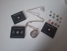 Pandora Silver 60cm Chain with  Floating Locket and 21 Petite Pandora Charms