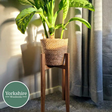 30.5cm Wide Oak Plant