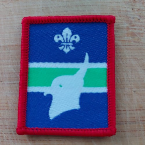 Current scouting scout - uk,
