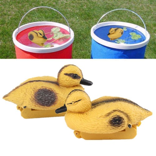 Floating duck ducklings fish - duck,