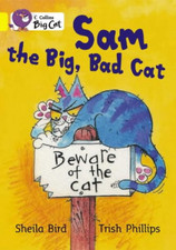 Sam the Big Bad Cat