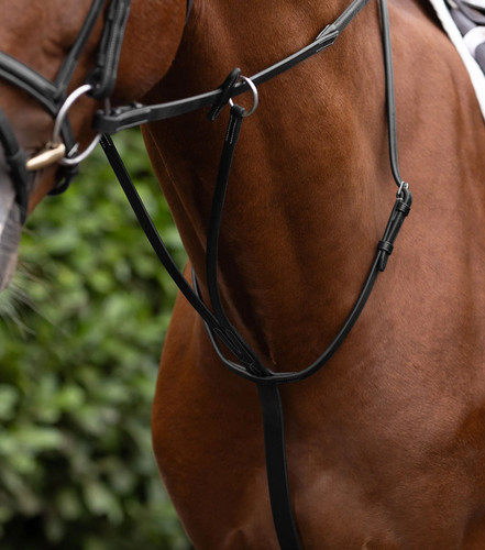 Premier equine european - equine,