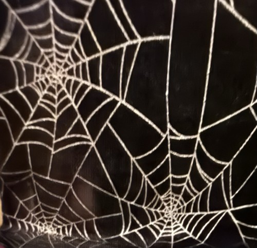 Halloween spider web plush - halloween,