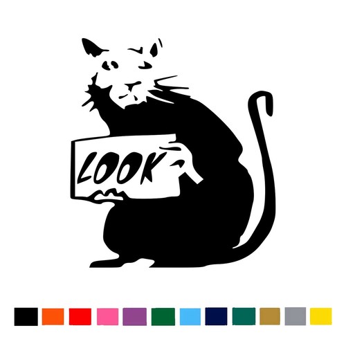 Rat look car window van - car, laptop