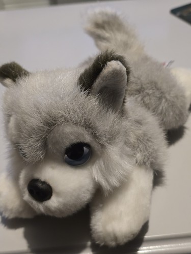 Keel toys signature - signature, collection
