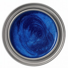 BRAKE CALIPER PAINT ELECTRIC