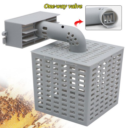 Automatic bee divider queen - automatic,