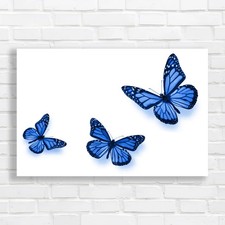 Vivid Flying Monarch Butterfly