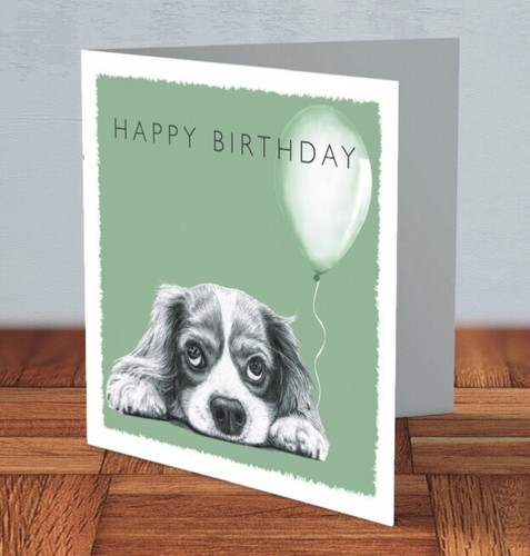 Cavalier king charles spaniel - charles,