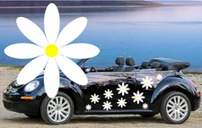 32  White & Yellow Daisy Car
