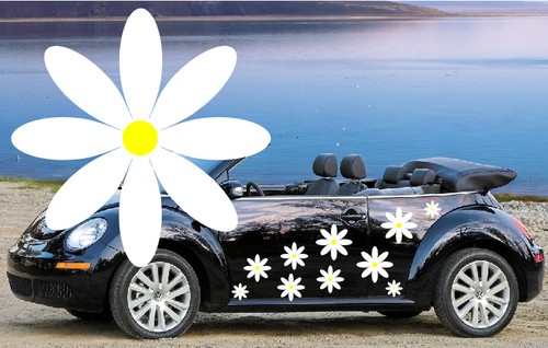 White yellow daisy car - &,