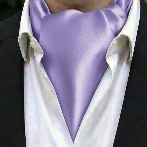 Mens ascot cravat self tie - mens,