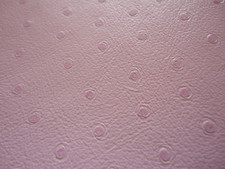 Baby Pink Ostrich Skin Effect