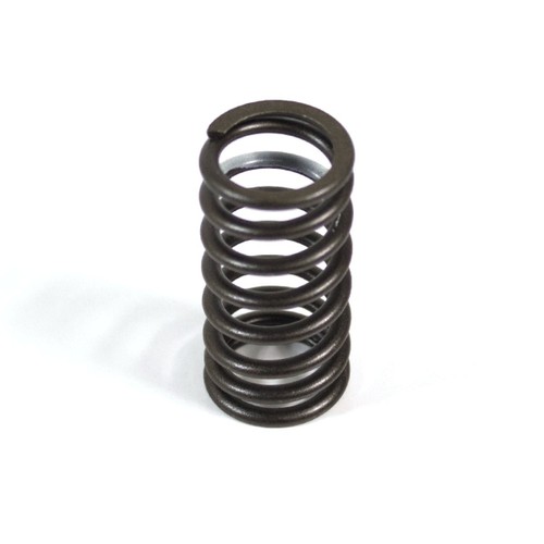 Valve spring 125cc motorcycle - 125cc,