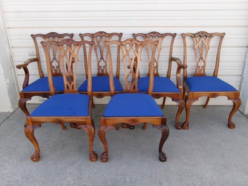 Set dining chairs lion - 6,
