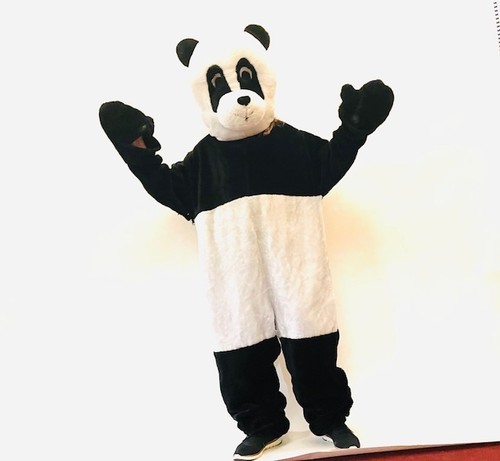 Panda mascot fancy dress - mascot,