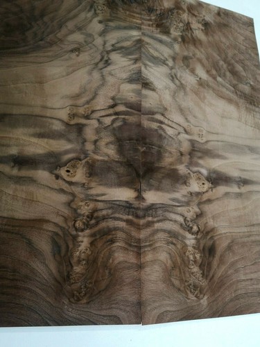 Burr walnut veneer - walnut, veneer/dashboard