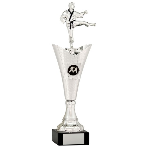 Karate trophies silver martial - karate,