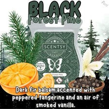 Scentsy Black Forest Pine Wax