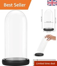26.5cm Crystal Clear Glass