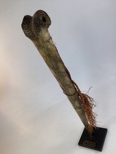 16” Rare Ritual/Ceremonial