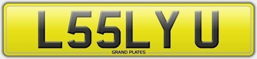 L55 lyu number plate - number,