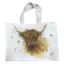 Jan Pashley Highland Cow