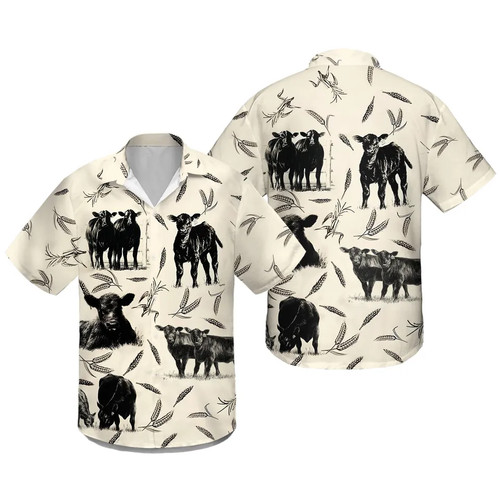 Black angus cattle - angus,