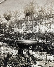Conservatory Gardens Fountain