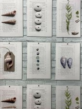 arthouse seashell duck egg